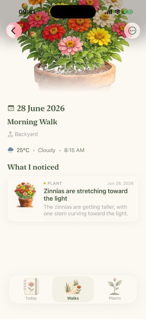 Morning Walk with one journal entry in Sow.