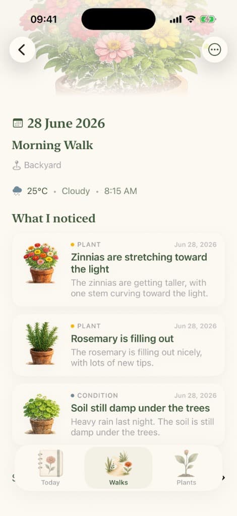 Morning Walk with three journal entries in Sow.